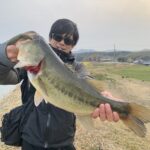 2月の淡路島攻略!野池でもカバースキャットは最強だった