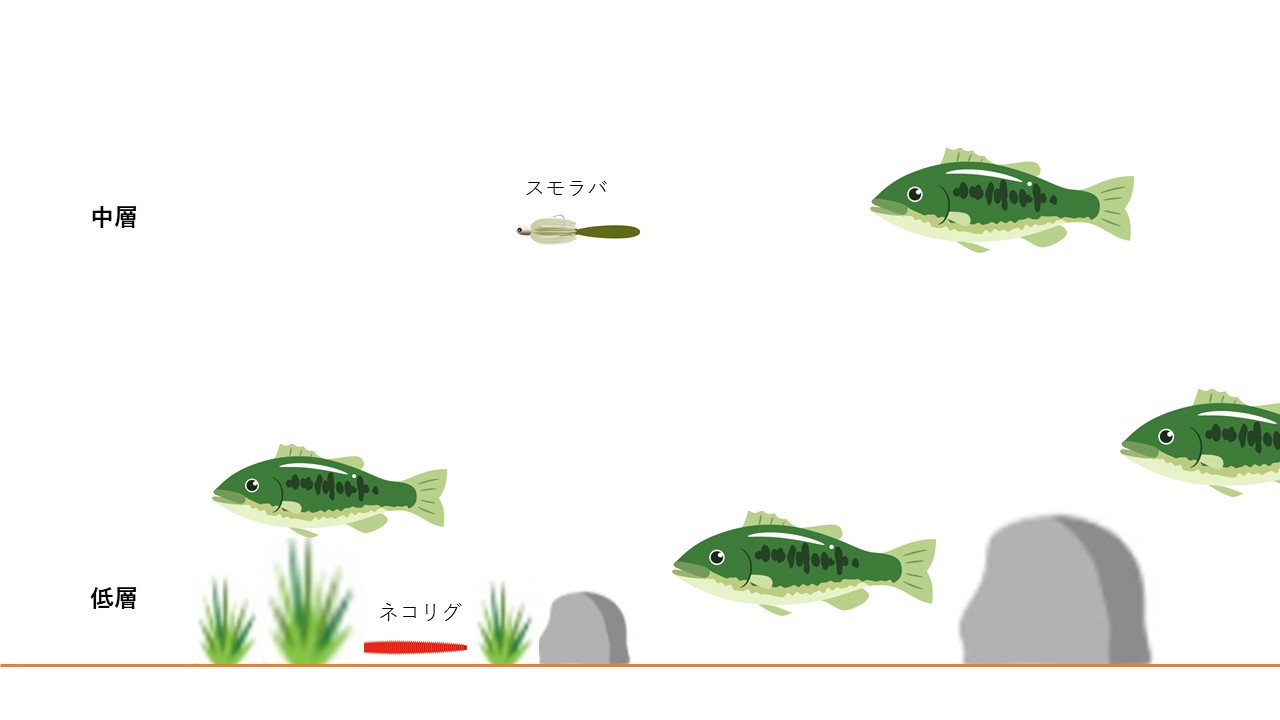 ライトリグの王道 ネコリグとスモラバの使い分け 釣具レビューや釣りレポートの 釣りレビュー ライトリグの王道 ネコリグとスモラバの使い分け 釣具レビューや釣りレポートの 釣りレビュー