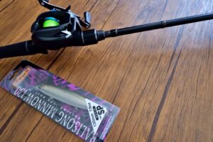 【ハードロックフィッシュ】サスペンドした魚にはジャークベイト!