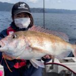 錦江湾内も春マダイスタートの気配！