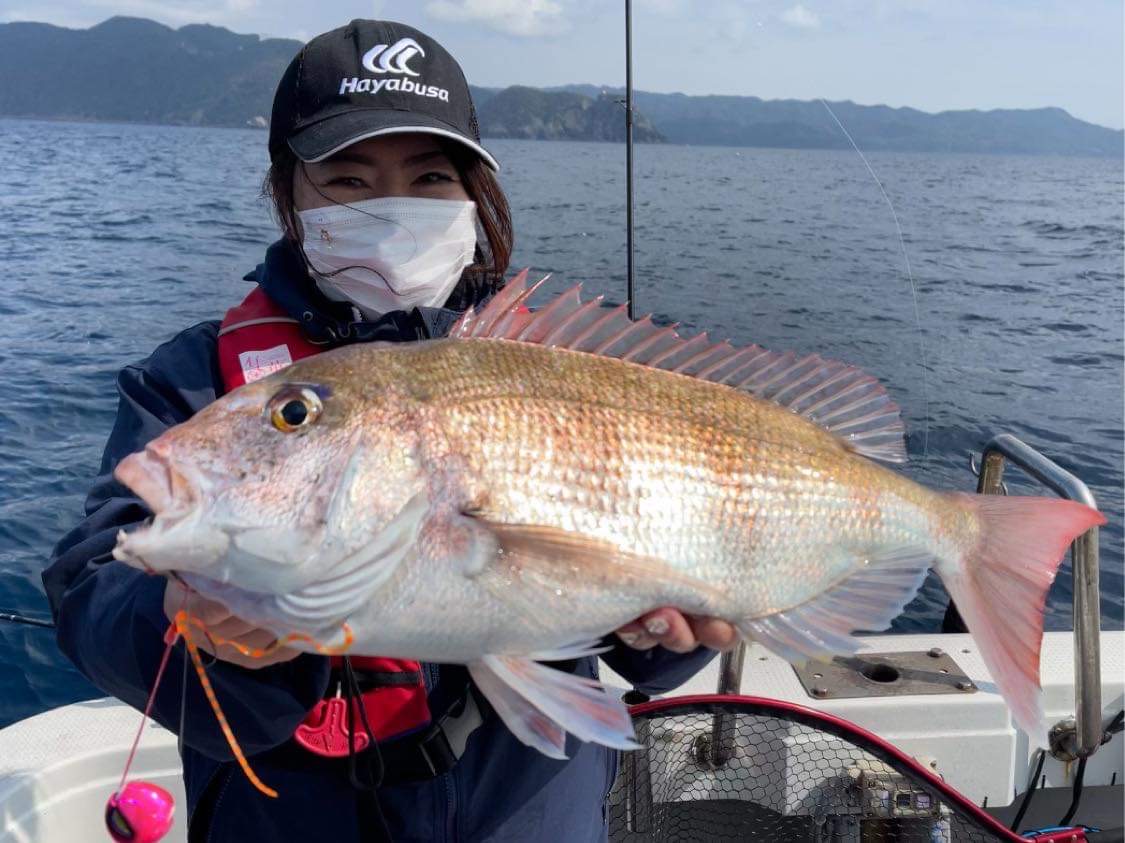 錦江湾内も春マダイスタートの気配！