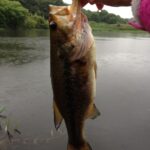 【ブラックバス釣り】早春の雨天釣行レポート