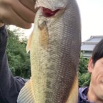 バス釣り上達のために!おすすめの本を紹介します