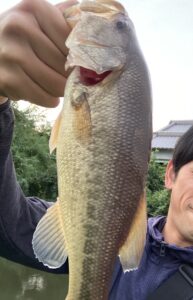 バス釣り上達のために!おすすめの本を紹介します