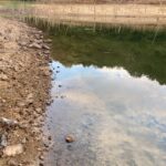 【野池】初めて行く野池で釣るためのポイントはここだ！【バス釣り】