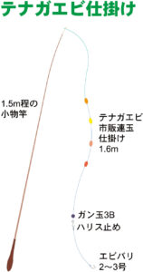 そろそろ気になる鹿児島のテナガエビ 釣具レビューや釣りレポートの 釣りレビュー